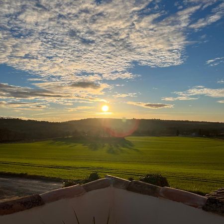 Mas Des Magnarelles / Uzes / Cevennes Villa Mejannes-les-Ales Eksteriør bilde